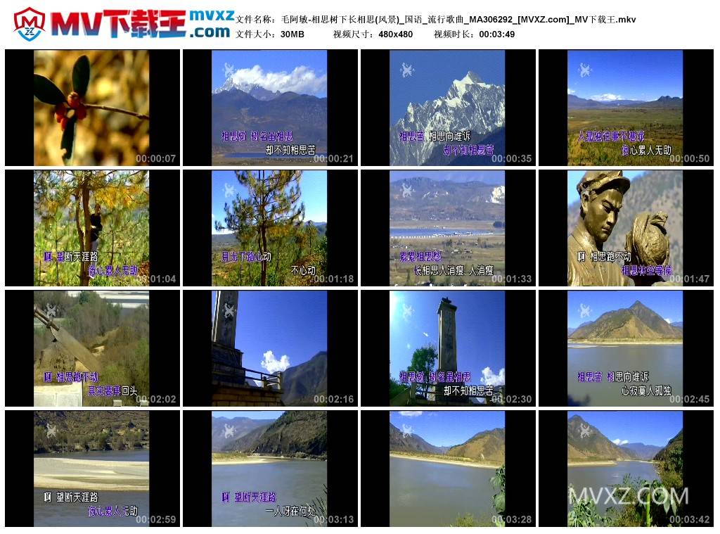 毛阿敏-相思树下长相思(风景)_国语_流行歌曲_MA306292